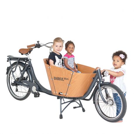 Babboe Mini-E chez vélo horizon port gratuit à partir de 300€