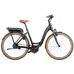 Riese and Muller Swing Vario 2022 Marques 4 239,90 €