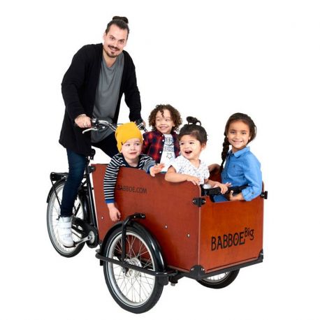 Babboe Big chez vélo horizon port gratuit à partir de 300€