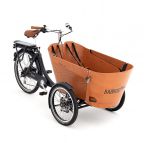 Babboe Flow-E chez vélo horizon port gratuit à partir de 300€