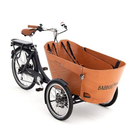 Babboe Flow-E chez vélo horizon port gratuit à partir de 300€