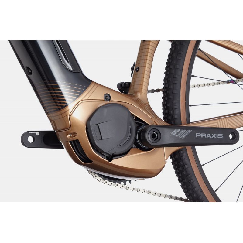 cannondale lefty 2021