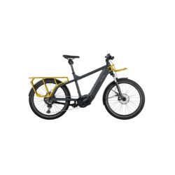 Riese & Muller Multicharger GT Vario 750 2022 chez vélo horizon port gratuit à partir de 300€