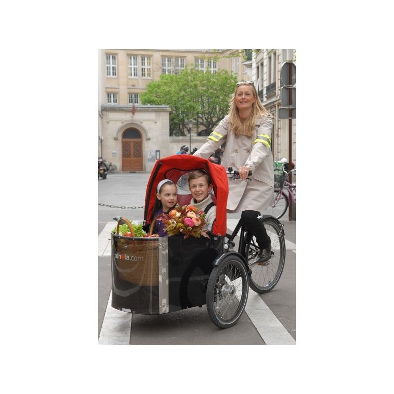 Triporteur Et Biporteur Electrique Triporteur Nihola Cigar Family