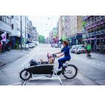 Urban Arrow Family chez vélo horizon port gratuit à partir de 300€