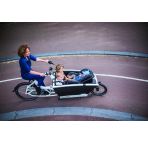 Urban Arrow Family chez vélo horizon port gratuit à partir de 300€