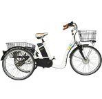 Tricycle CyclO2 chez vélo horizon port gratuit à partir de 300€