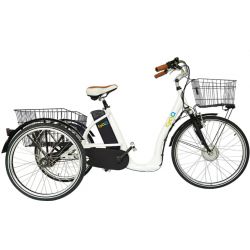 Tricycle CyclO2 chez vélo horizon port gratuit à partir de 300€