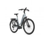 Gazelle Chamonix T10 HMS 2022 chez vélo horizon port gratuit à partir de 300€