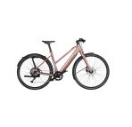 Riese & Muller UBN Seven Silent chez vélo horizon port gratuit à partir de 300€