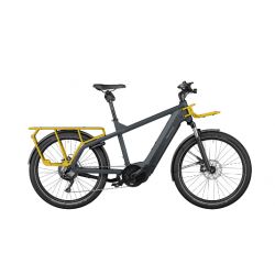 Riese & Muller Multicharger Gt Touring 750 chez vélo horizon port gratuit à partir de 300€