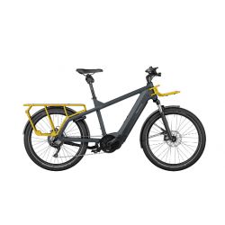 Riese & Muller Multicharger Gt Vario HS chez vélo horizon port gratuit à partir de 300€