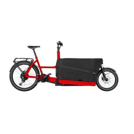 Vélo Cargo Biporteur Électrique - Riese & Muller Packster 70 vario chez vélo horizon port gratuit à partir de 300€