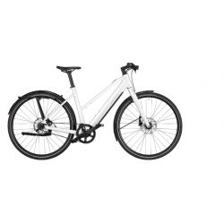 Riese & Muller Seven Singlespeed chez vélo horizon port gratuit à partir de 300€