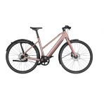 Riese & Muller Seven Singlespeed chez vélo horizon port gratuit à partir de 300€