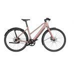 Riese & Muller UBN Seven Singlespeed chez vélo horizon port gratuit à partir de 300€