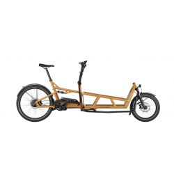 Riese & Muller Load4 75 Vario chez vélo horizon port gratuit à partir de 300€