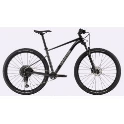 Cannondale Trail SL 3 2022