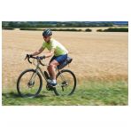 Genesis Croix de Fer 10 chez vélo horizon port gratuit à partir de 300€