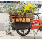 Yuba Cargo Straps chez vélo horizon port gratuit à partir de 300€
