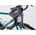Ridgeback Panorama chez vélo horizon port gratuit à partir de 300€