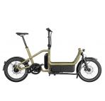 Vélo Cargo Biporteur Électrique - Riese & Muller Carrie City chez vélo horizon port gratuit à partir de 300€