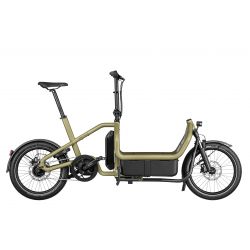 Vélo Cargo Biporteur Électrique - Riese & Muller Carrie City