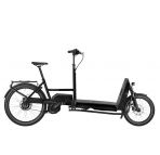 Vélo Cargo Biporteur Électrique - Riese & Muller TRANSPORTER2 65 chez vélo horizon port gratuit à partir de 300€