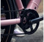 Riese & Muller Culture Mixte silent chez vélo horizon port gratuit à partir de 300€