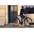 Riese & Muller Culture Mixte silent chez vélo horizon port gratuit à partir de 300€