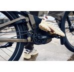 Riese & Muller Delite5 GT pinion HS chez vélo horizon port gratuit à partir de 300€