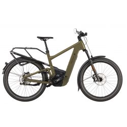 Riese & Muller Delite5 GT pinion HS chez vélo horizon port gratuit à partir de 300€