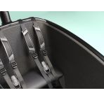 Urban Arrow Family Next chez vélo horizon port gratuit à partir de 300€