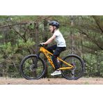 SUNN Tox 24 chez vélo horizon port gratuit à partir de 300€