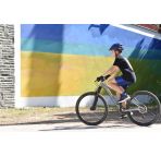 SUNN Tox 26 chez vélo horizon port gratuit à partir de 300€