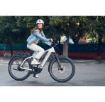 Riese & Müller Charger 5 Mixte chez vélo horizon port gratuit à partir de 300€