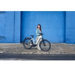 Riese & Müller Charger 5 Mixte chez vélo horizon port gratuit à partir de 300€