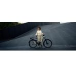 Riese & Muller Homage5 chez vélo horizon port gratuit à partir de 300€