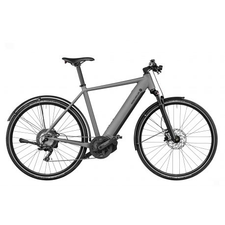 Riese & Müller Roadster4 chez vélo horizon port gratuit à partir de 300€