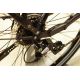 Gitane e-Salsa Yamaha D8 chez vélo horizon port gratuit à partir de 300€