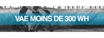 Moins de 300 Wh