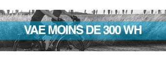 Moins de 300 Wh