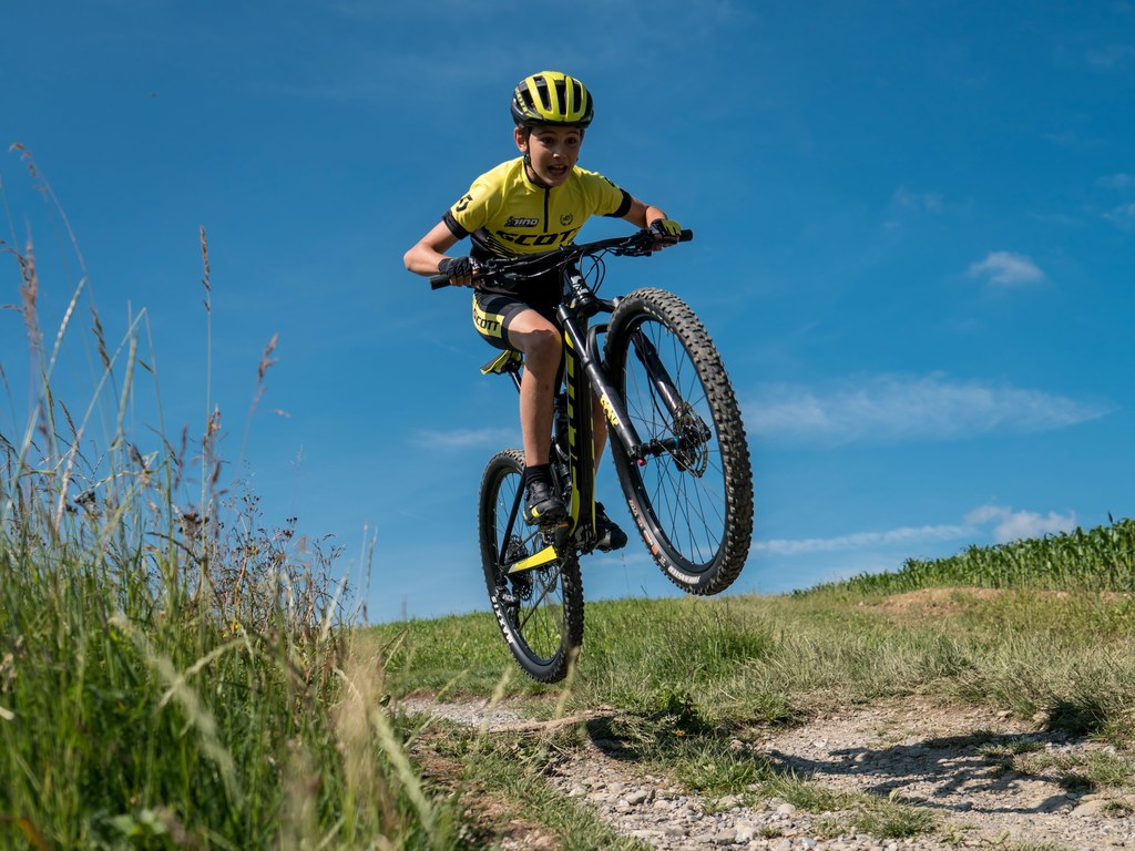 Vtt hotsell meilleur marque