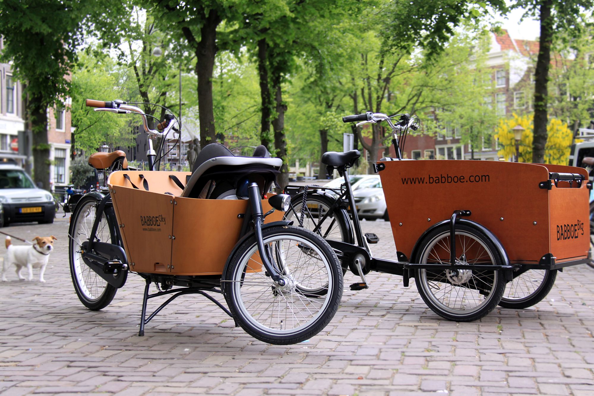 meilleure marque vélo électrique babboe