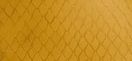 Burnt Yellow aquaback rec